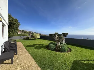 a garden with a tree and bushes in the grass at Anita & Leonel's House A in Gaula