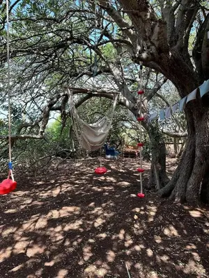 a hammock hanging from a tree in the shade at Michas caravan for 2 See the herd of horses from your bed in Barão de São João