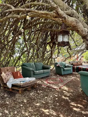 a group of couches and chairs under a tree at Michas caravan for 2 See the herd of horses from your bed in Barão de São João