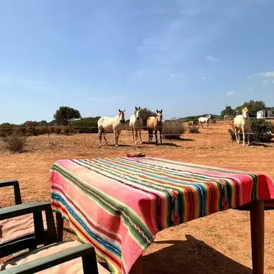 Michas caravan for 2 See the herd of horses from your bed