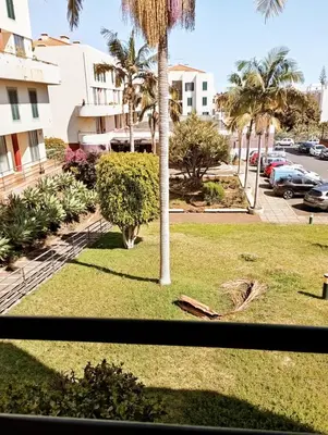 a view from a window of a park with a palm tree at Village Green House Funchal in Funchal