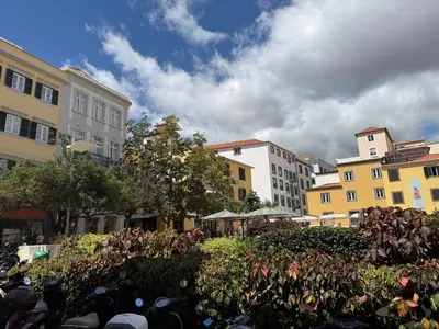 a group of buildings in a city with flowers at Sè Urban Suite 21 in Funchal