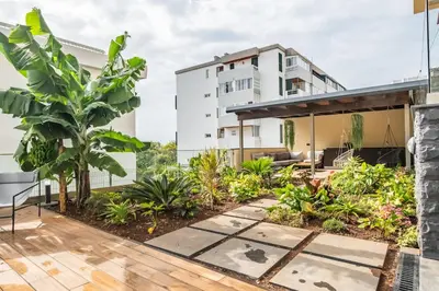 a courtyard with plants and a building at Casa das Raposinhas VI, Funchal in Funchal