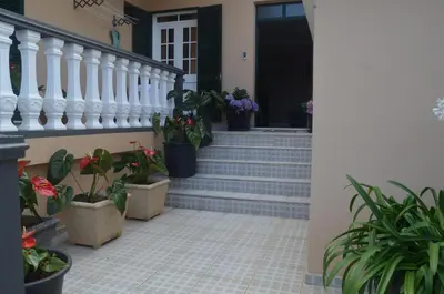 a hallway with potted plants on the stairs at Vista dos Encantos in Machico