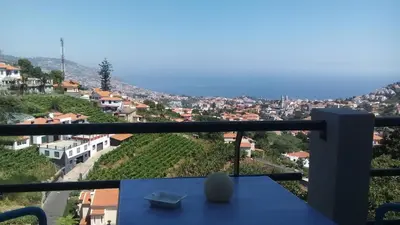 a view of a city from a balcony at Vista Funchal in Funchal
