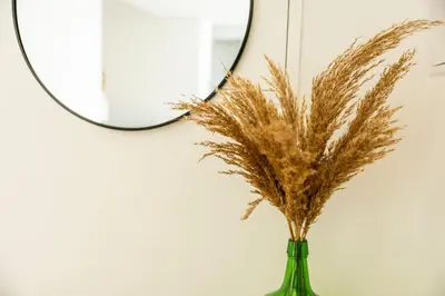 a green vase with a plant in front of a mirror at Green House Beach Side Oasis in Vila Baleira