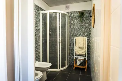a bathroom with a shower and a toilet in it at Whale's Lodge in Porto Moniz