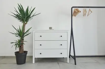 a white dresser and a palm tree next to a dresser at Endless Ocean - Praia da Luz in Luz