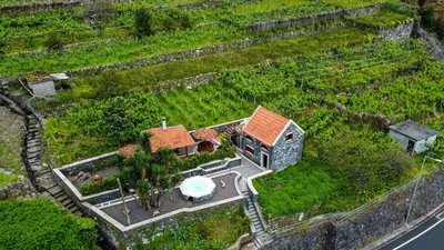 an aerial view of a house with a palm tree at Refúgio do Norte in Porto Moniz