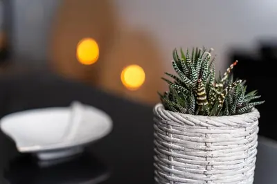 a white vase with a plant in it on a table at GuestReady - Caniço paradise with ocean view in Santa Cruz