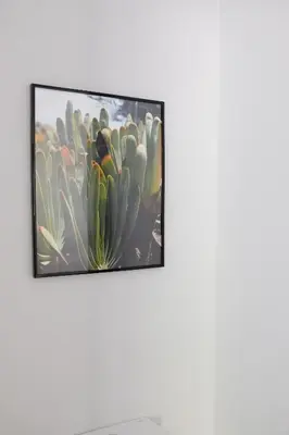 a framed picture of a cactus on a wall at New 3 Bedroom Luxury Family Apartment - Airco, King Size Beds, Fully equipped kitchen, Balcony, Washingmachine, 2 bathrooms, Free parking, Fast Internet, 142m2 in Machico