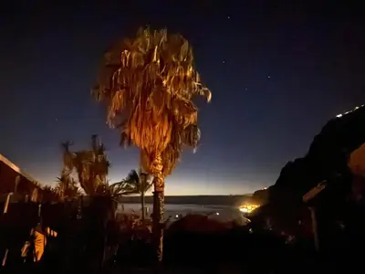 a palm tree is lit up at night at Suite Bela Vigia 4 in Jardim do Mar