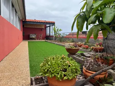 a garden with green grass and potted plants on a building at Casa Maria in Ribeira Brava