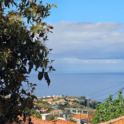 a view of a city and the ocean from a tree at Jose & Idalina House in Funchal
