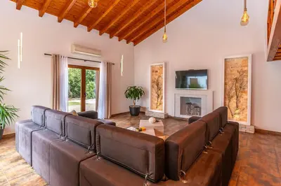 a living room with brown leather furniture and a fireplace at Quinta da Amoreira in Barão de São Miguel