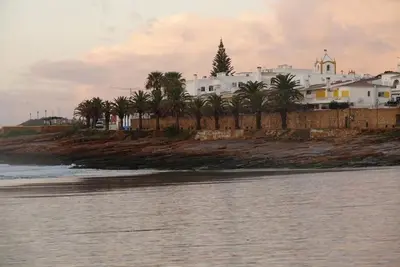 a group of palm trees on an island in the water at Luz dream apartment 22G above beach in Luz