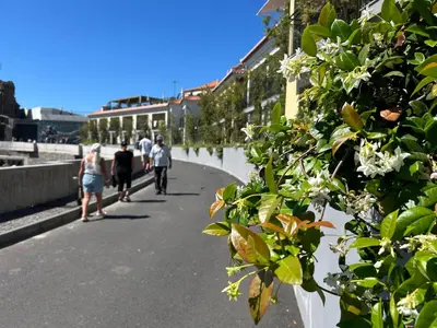 a group of people walking down a street with flowers at Saraiva Hills Ocean View Penthouse in Câmara de Lobos