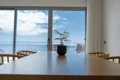 a table with a potted plant in front of a large window at White Apartment in Funchal