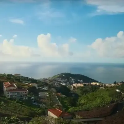 Quinta do Ribeiro Real