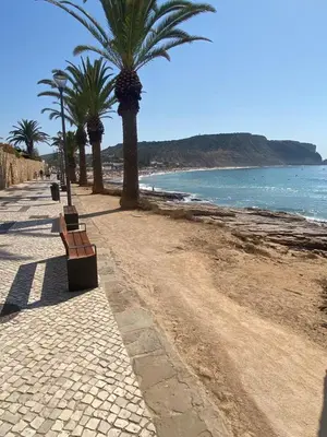 a sidewalk with palm trees on the beach at MarLuz in Luz