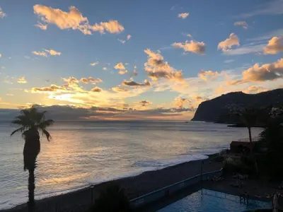 a palm tree and the ocean at sunset at Peaceful beachside Penthouse - 3 Bed 608 in Funchal