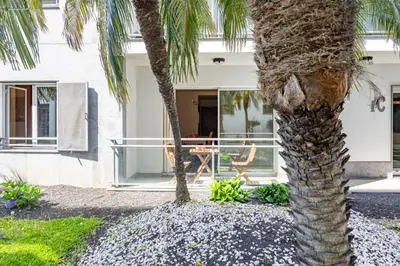 a palm tree in front of a house at Secret Stay Funchal by YOUR KEY in Funchal