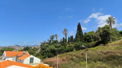 a view of a hill with palm trees and houses at Consolação Sea View in Funchal