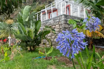 a garden with purple flowers in front of a stone house at Fajã Stone House by LovelyStay in Arco da Calheta