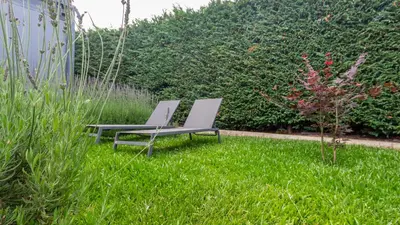 two chairs sitting in the grass in a garden at The Jolie - A Retreat in the City in an Entire House in Funchal