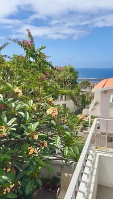 a view from the balcony of a building with a tree at Sunny Double Room in 4BR Villa with AC, Sea View Balcony, Workspace in Funchal