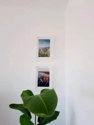 two pictures on a wall next to a plant at Novo! Jacuzzi, campo e praia in Vila do Bispo