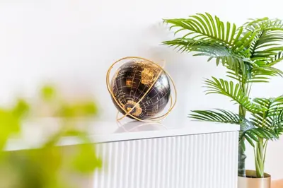 a gold and black disco ball on a shelf next to a plant at GuestReady - O Cantinho dos Pestanas in Caniço