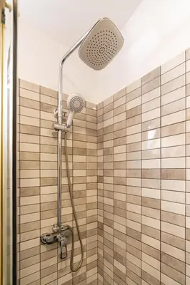 a shower with a shower head in a bathroom at Casa Santos- Arco da Calheta in Arco da Calheta