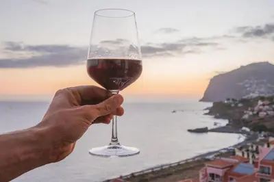 a person holding a glass of wine in front of the ocean at High View Apartment in Funchal