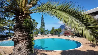 a palm tree next to a swimming pool at High View Apartment in Funchal
