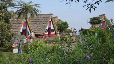 a house with a thatched roof in a garden at Casa da Cascata in Santana