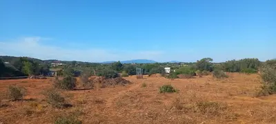 an open field with trees in the distance at Uljanas caravana for 2 with view of the rescued horses in Barão de São João