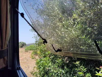 a view from the front window of a train at Uljanas caravana for 2 with view of the rescued horses in Barão de São João