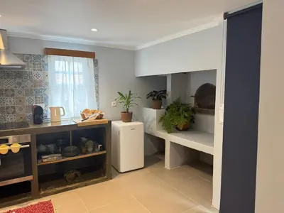 a kitchen with a white refrigerator and some plants at Refúgio do Nevoeiro Apart T1 in Porto Moniz