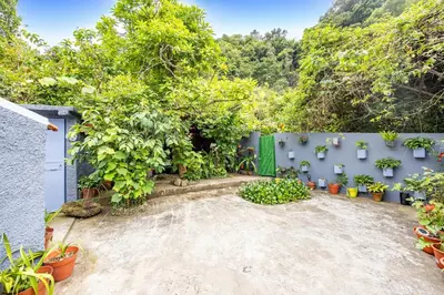 a garden with plants and a blue fence at Sounds of Nature in Santana