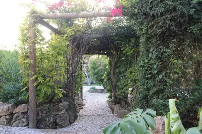 an archway covered in ivy with a stone pathway at Casa Tenente Camilo in Lagos