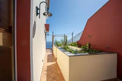 a balcony with plants on the side of a building at BravaSol by LovelyStay in Tábua
