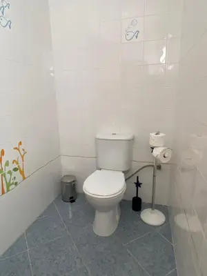 a bathroom with a white toilet in a room at A casa da Xã in Almagreira
