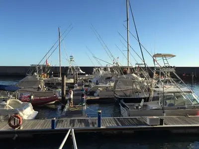 a bunch of boats are docked at a dock at Villa 17°West with Pool in Estreito da Calheta