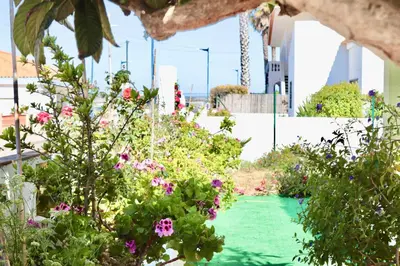 a garden with pink flowers and green grass at Casa do Afonso in Sagres