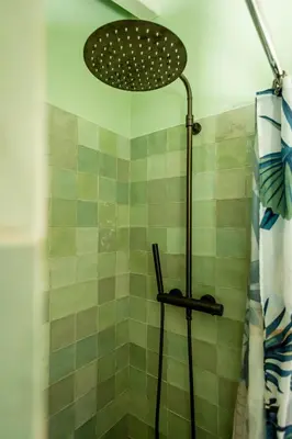 a shower with a shower head in a bathroom at Casa Pinho Vista in Aljezur