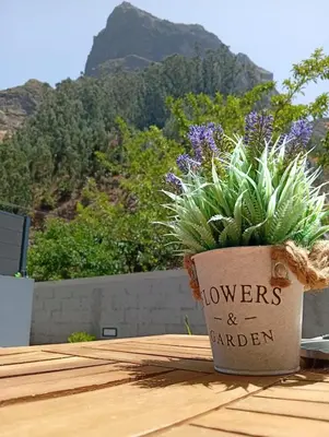 a potted plant sitting on top of a wooden table at Danny's Rural Suite T1 in Curral das Freiras