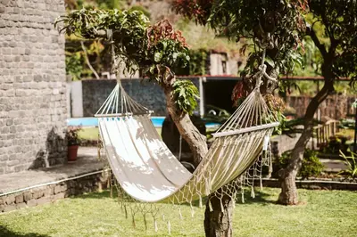 two hammocks hanging from a tree in a yard at Casa da Pedra by Amazing Madeira in Santana