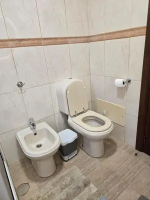 a bathroom with a toilet and a sink at Villa Pedro, Big House in Calheta