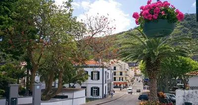 a flower pot hanging from a palm tree in a town at Paraíso Altântico in Machico